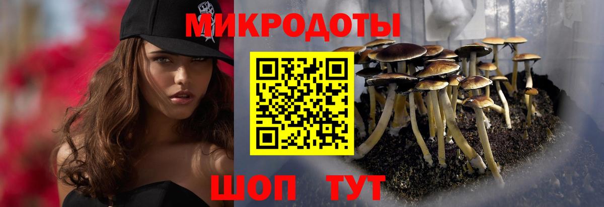 Галлюциногенные грибы Psilocybe Комсомольск-на-Амуре
